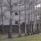 P1080683.JPG