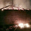 Pferdegestüt in NÖ in Flammen