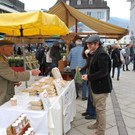 DSC_0203.JPG