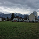 IMG_9730.jpg