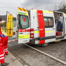 20190309BrandWeiler-003.jpg