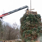 0025_07_ M__rz 2019__chler Funkenzunft_FT-Digital2019.jpg