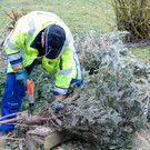 0036_07_ M__rz 2019__chler Funkenzunft_FT-Digital2019.jpg