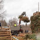 0045_07_ M__rz 2019__chler Funkenzunft_FT-Digital2019.jpg