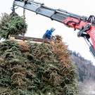 0049_07_ M__rz 2019__chler Funkenzunft_FT-Digital2019.jpg