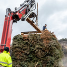 0055_07_ M__rz 2019__chler Funkenzunft_FT-Digital2019.jpg