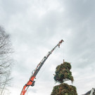 0084_07_ M__rz 2019__chler Funkenzunft_FT-Digital2019.jpg