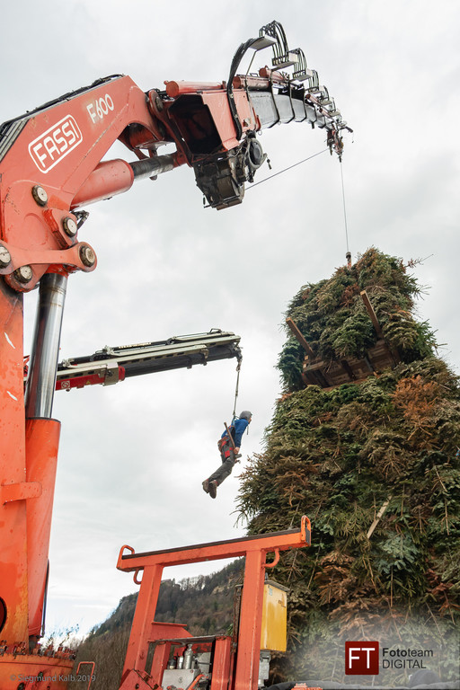 0085_07_ M__rz 2019__chler Funkenzunft_FT-Digital2019.jpg