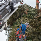 0086_07_ M__rz 2019__chler Funkenzunft_FT-Digital2019.jpg