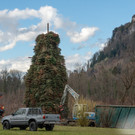 0088_07_ M__rz 2019__chler Funkenzunft_FT-Digital2019.jpg