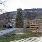 0090_07_ M__rz 2019__chler Funkenzunft_FT-Digital2019.jpg