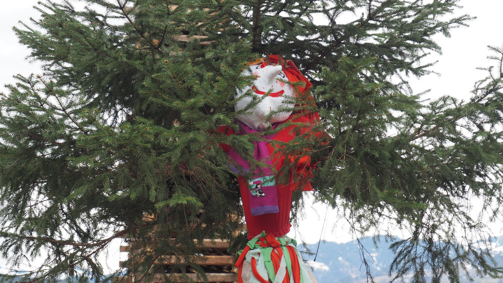 0P3090095.JPG