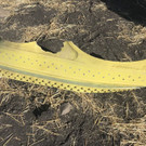 Ethiopia_Plane_Crash_89878.jpg