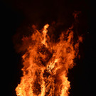 DSC_0018 _2_.JPG