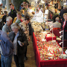 IMG_4968.JPG