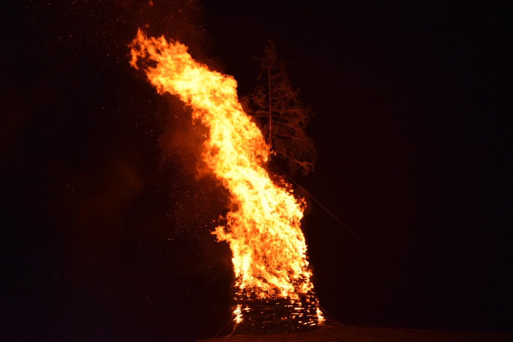 DSC_0067 - Kopie.JPG