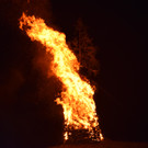 DSC_0067 - Kopie.JPG