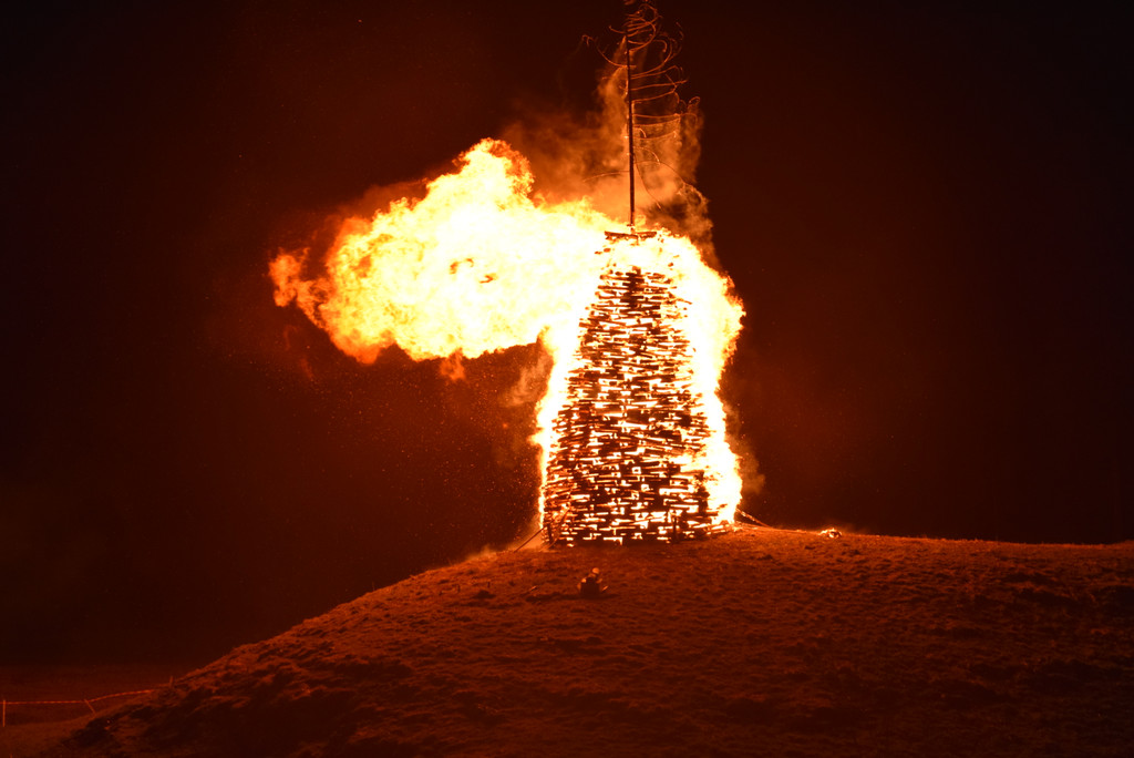 DSC_0083 - Kopie.JPG