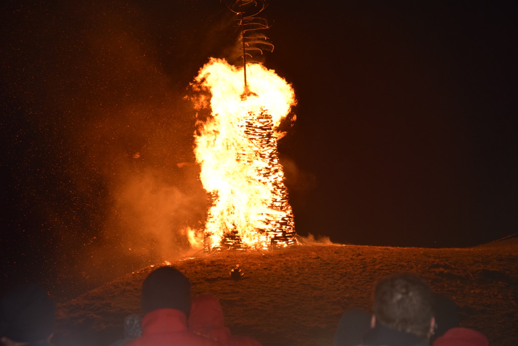 DSC_0088 - Kopie.JPG