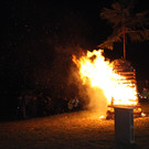 IMG_4695.JPG