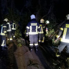 Sturmschaden _1_.jpeg