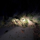 Sturmschaden _2_.jpeg