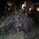 Sturmschaden _3_.jpeg