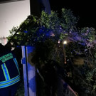 Sturmschaden _4_.jpeg