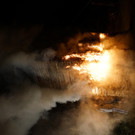 DSC05421.jpg