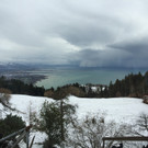 IMG_5897.JPG