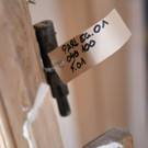 ABD0111-20190311.jpg
