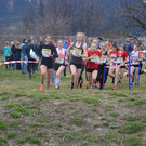 Crosslauf Innsbruck