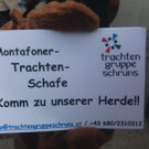 Schafherde der Trachtengruppe Schruns