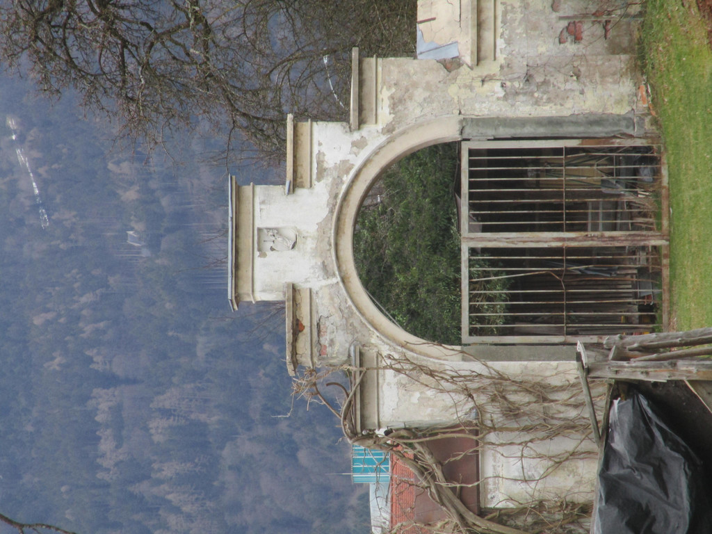 IMG_1474.JPG