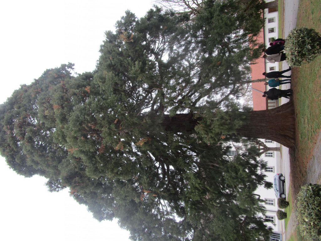 IMG_1483.JPG