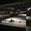 IMG_1504.JPG