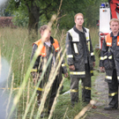 Hase schreckte Pferd - Sturz in den Graben