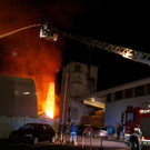 ABD0120-20190316.jpg