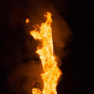 20190316-DSC_7387.JPG