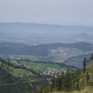 1523537.jpg