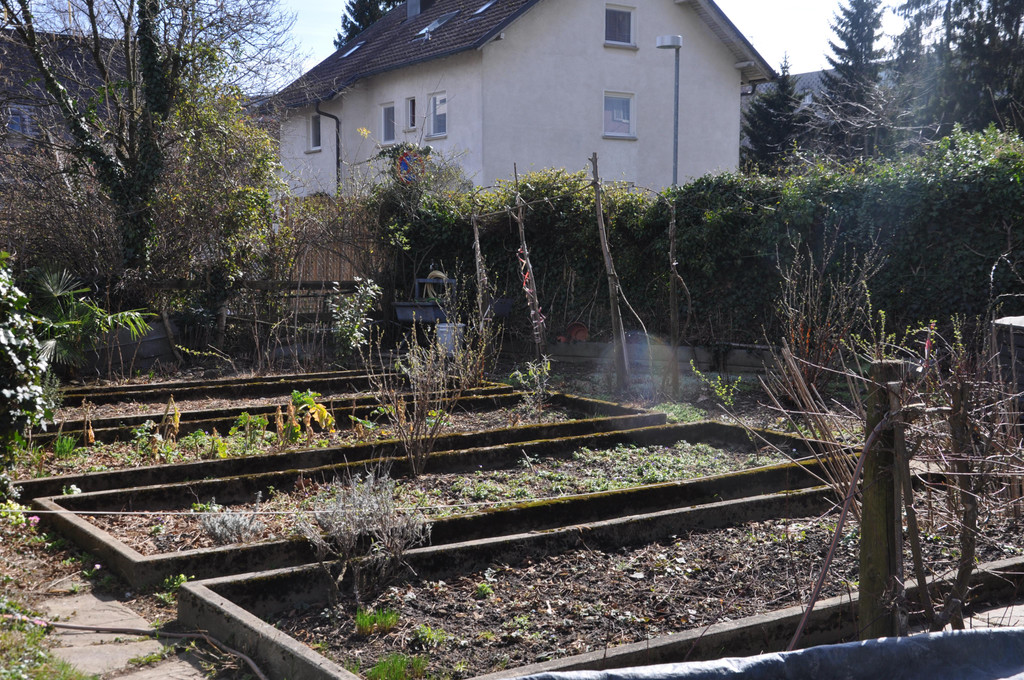 DSC_0303.JPG