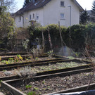 DSC_0303.JPG