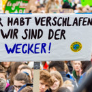 Weltweiter Klimastreik _88 von 154_.jpg