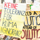 Weltweiter Klimastreik _115 von 154_.jpg