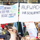 Weltweiter Klimastreik _144 von 154_.jpg
