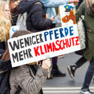 Weltweiter Klimastreik _147 von 154_.jpg