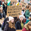 Weltweiter Klimastreik _158 von 154_.jpg