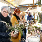 Marlene Marte _allerhand_.JPG