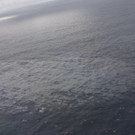 AFP_1EO3B3.jpg
