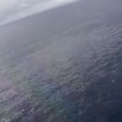AFP_1EO3B4.jpg